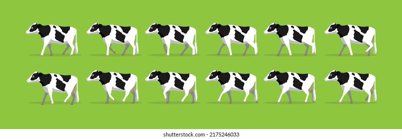 Animal Animation Cow Holstein Friesian Walking Cartoon Vector Illustration
