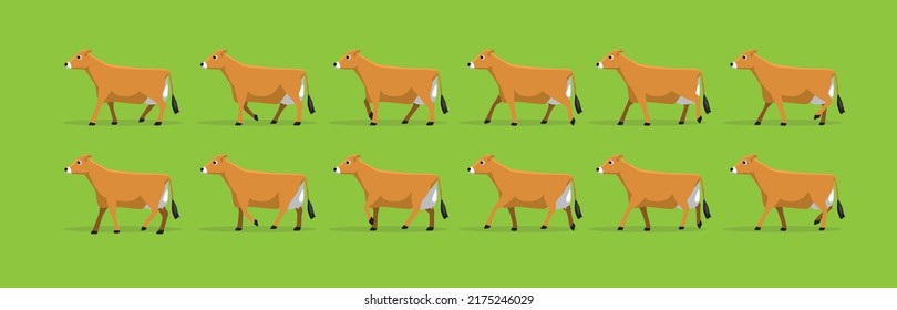 Animal Animation Cow Jersey Walking Cartoon Vector Illustration
