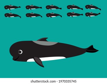 Animal Animation Long Finned Pilot Whale Cartoon Vector Sequence Frame