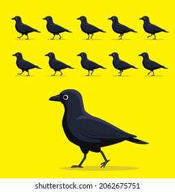 Animal Animation Sequence American Crow Walking Cartoon Vector