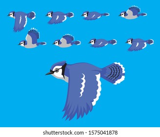 Animal Animation Sequence Blue Jay Flying Cartoon Vector