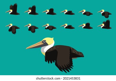 Animal Animation Sequence Brown Pelican Flying Cartoon Vector