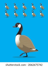 Animal Animation Sequence Canada Geese Walking Cartoon Vector