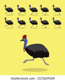 Animal Animation Sequence Cassowary Running Cartoon Vector
