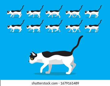 Animal Animation Sequence Cat Aegean Cartoon Vector