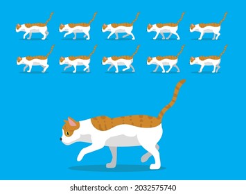 Animal Animation Sequence Cat Aegean Cartoon Vector Cream Coat