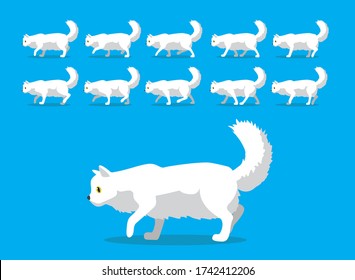 Animal Animation Sequence Cat American Curl Cartoon Vector