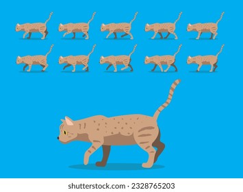 Animal Animation Sequence Cat Australian Mist Cartoon Vector