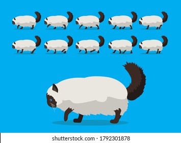 Animal Animation Sequence Cat Burman Cartoon Vector