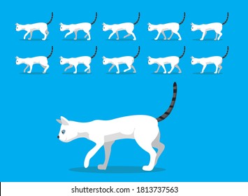 Animal Animation Sequence Cat Colorpoint Shorthair Cartoon Vector
