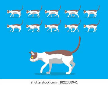 Animal Animation Sequence Cat Cornish Rex Cartoon Vector