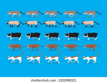 Animal Animation Sequence Cat Oriental Dragon li Manx Siamese Tonkinese Singapura Cartoon Walking