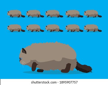 Animal Animation Sequence Cat Persian Cartoon Vector