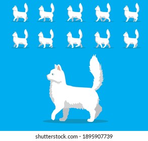 Animal Animation Sequence Cat Turkish Angora Cartoon Vector