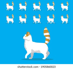 Animal Animation Sequence Cat Turkish Van Cartoon Vector