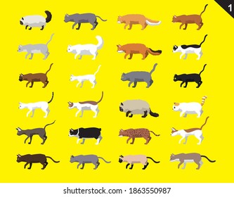 Animal Animation Sequence Cat Various Breeds Set 1 Cartoon Vector