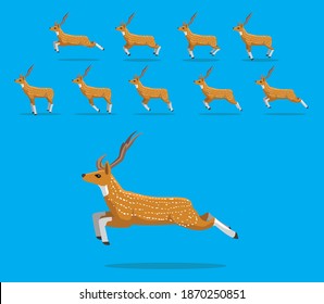 Animal Animation Sequence Chital Deer Cartoon Vector