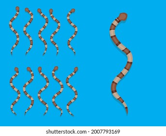 Animal Animation Sequence Copperhead Snake Cartoon Vector