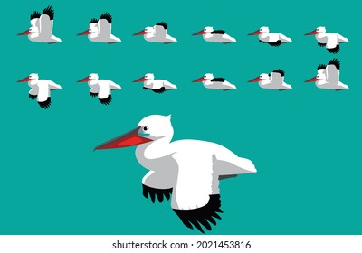 Animal Animation Sequence Dalmatian Pelican Flying Cartoon Vector