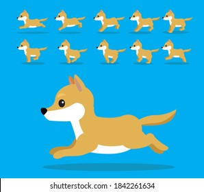 Animal Animation Sequence Dingo Dog Cartoon Vector