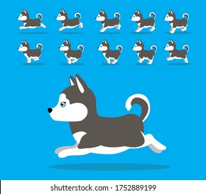 Secuencia de animación animal Perro Vector de dibujos animados de Malamute Alaskan