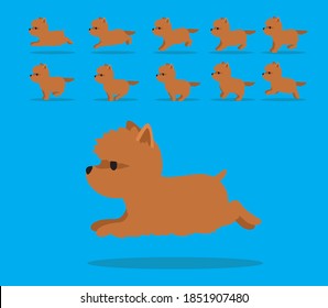 Animal Animation Sequence Dog Australian Terrier Cartoon Vector