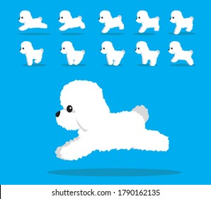 Animal Animation Sequence Dog Bichon Frise Cartoon Vector