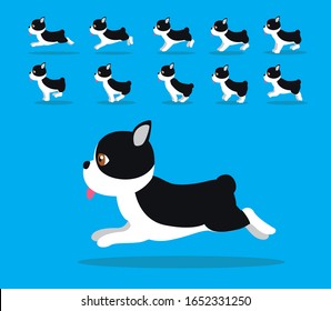 Animal Animation Sequence Dog Boston Terrier Cartoon Vector