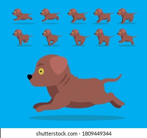 Animal Animation Sequence Dog Chesapeake Bay Retriever Cartoon Vector