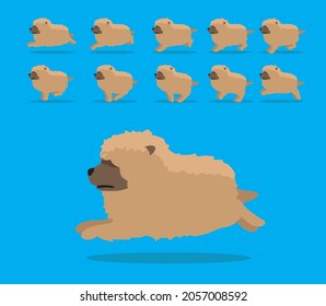 Animal Animation Sequence Dog Chow Chow Cartoon Vector Brown Coat