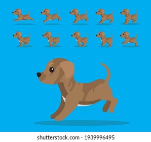 Animal Animation Sequence Dog Cimarron Uruguayo Cartoon Vector