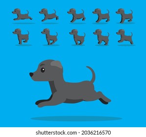 Animal Animation Sequence Dog Greyhound Greay Coat Cartoon Vector