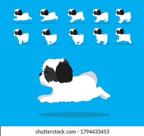 Animal Animation Sequence Dog Havanese Cartoon Vector