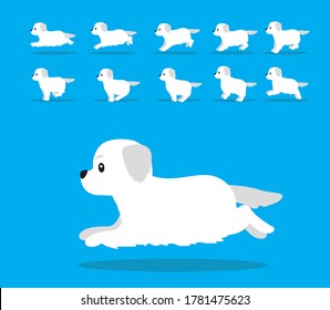 Animal Animation Sequence Dog Kuvasz Cartoon Vector