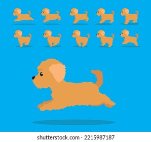 Animal Animation Sequence Dog Labradoodle Cartoon Vector