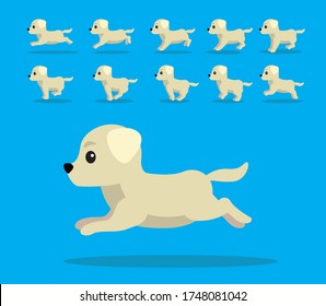 Animal Animation Sequence Dog Labrador Retriever Cartoon Vector