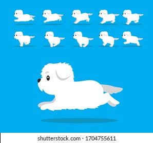 Animal Animation Sequence Dog Maltese Cartoon Vector