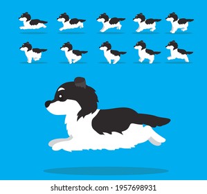 Animal Animation Sequence Dog Mucuchies Sheepdog Cartoon