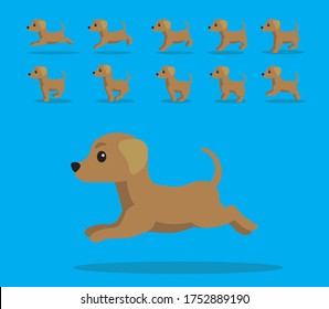 Animal Animation Sequence Dog Rhodesian Ringeback Cartoon Vector
