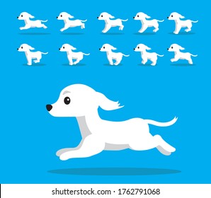 Animal Animation Sequence Dog Saluki Cartoon Vector