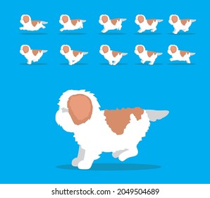 Animal Animation Sequence Dog Shih Tzu Cartoon Vector
