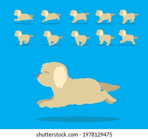 Animal Animation Sequence Dog Spinone Italiano Cartoon Vector