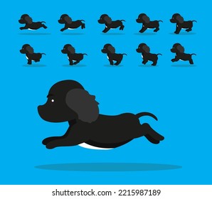 Animal Animation Sequence Dog Sprocker Spaniel Cartoon Vector