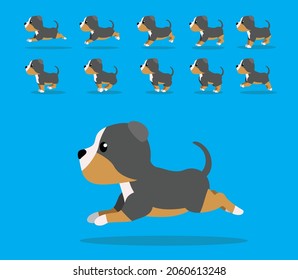 Animal Animation Sequence Dog Staffordshire Terrier Cartoon Vector Tricolor