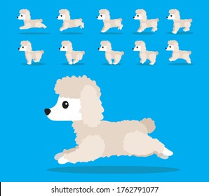 Animal Animation Sequence Dog Standard Poodle Cartoon Vector