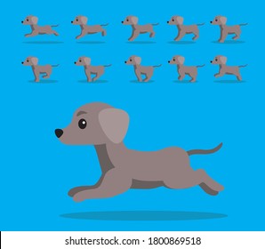 Animal Animation Sequence Dog Weimaraner Cartoon Vector