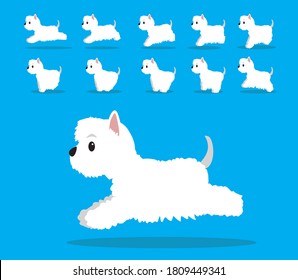 Tieranimationssequenz Hund West Highland White Terrier Cartoon Vektor