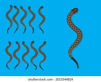 Animal Animation Sequence Eastern Diamondback Rattlesnake Cartoon Vector