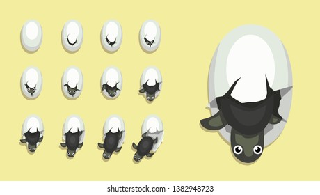 Animal Animation Sequence Egg Hatching Baby Turtle Cartoon Vector