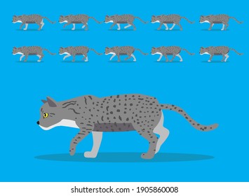 Animal Animation Sequence Egyptian Mau Cat Cartoon Vector